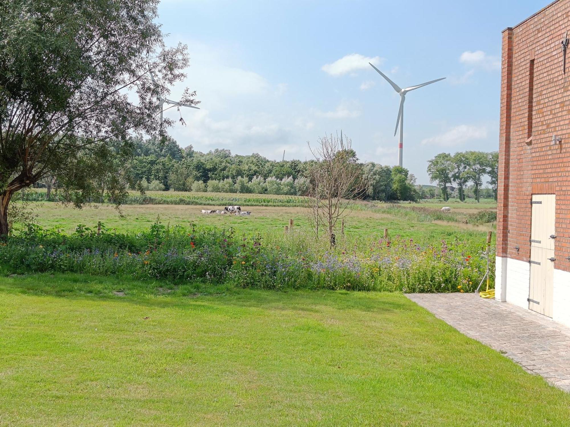 Beautiful 3-Bedroom - 3-Bathroom Appartment Pendula Brugge Bagian luar foto